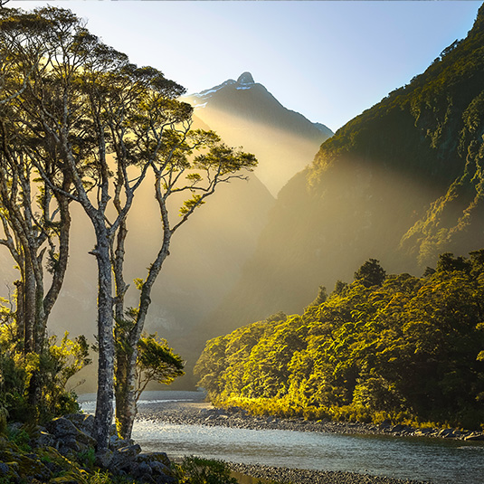 new zealand landscape